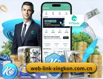web-link-xingkon.com.cn APP 深度功能（xingkong）